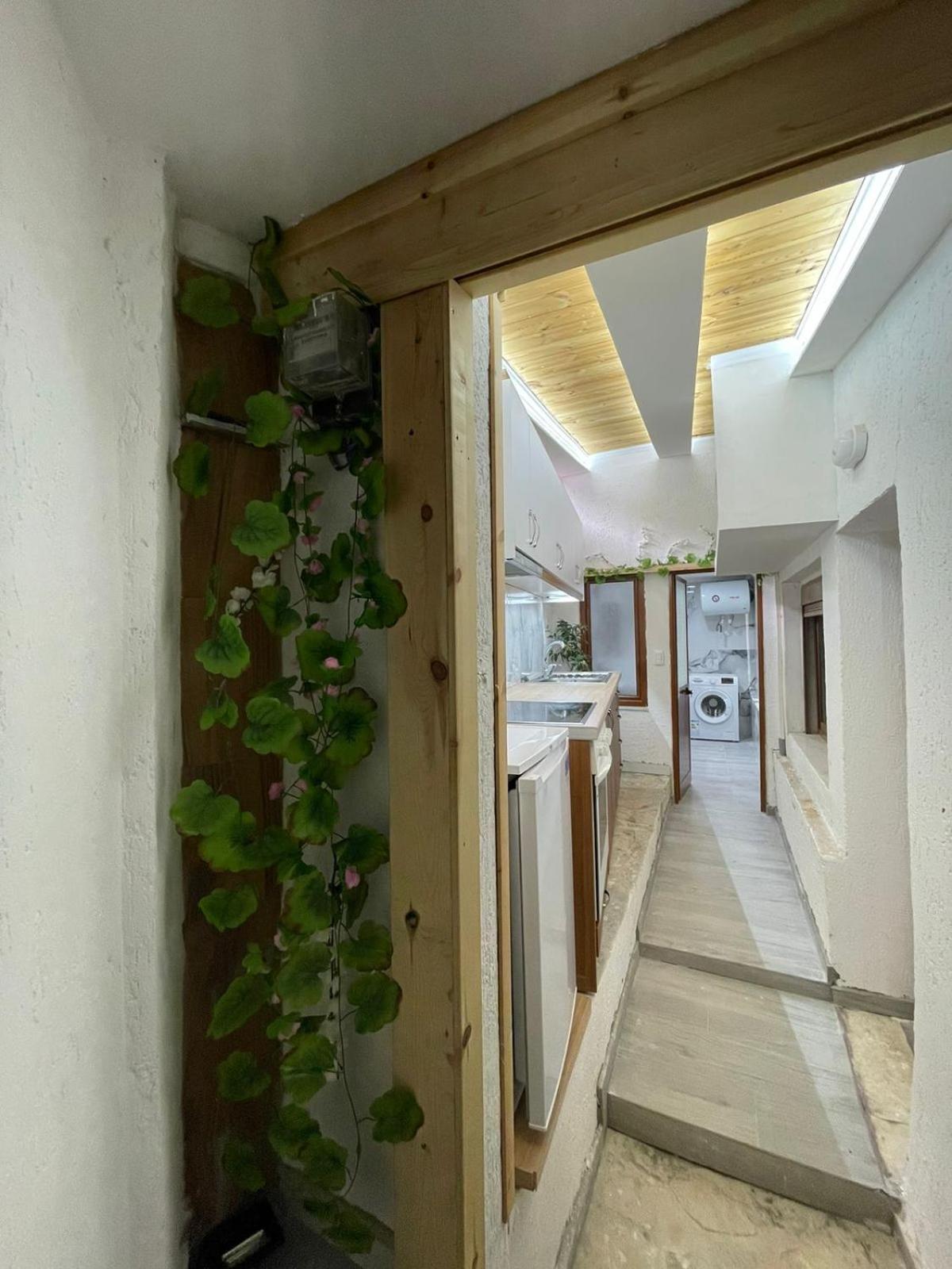 Apartment Katalea